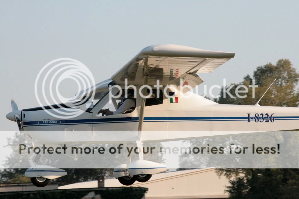 IMG_4464.jpg
