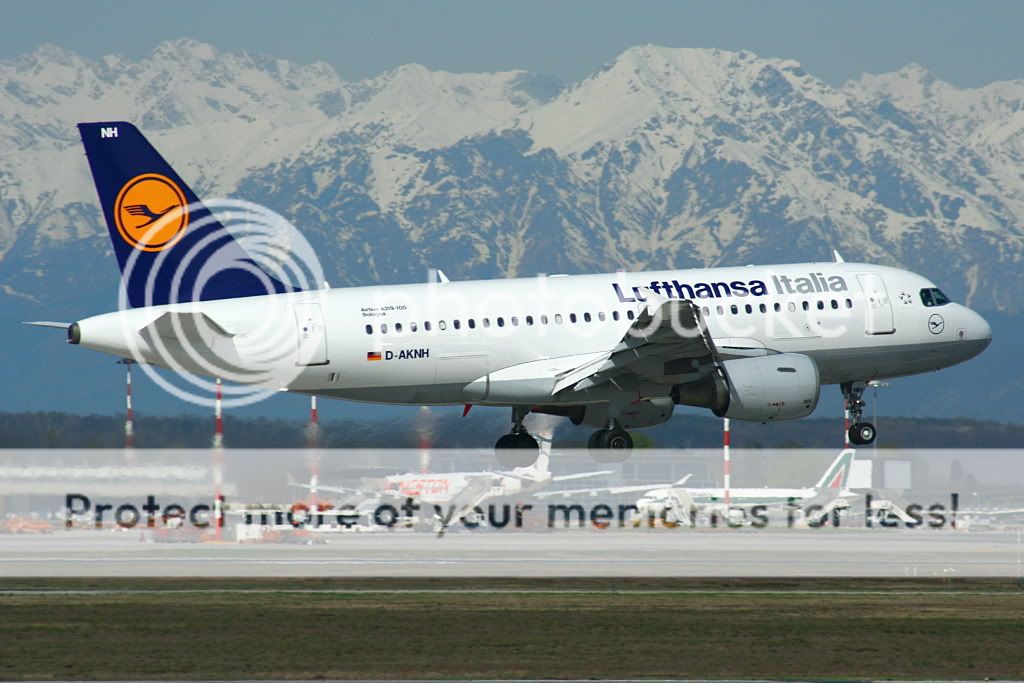 D-AKNHMxp0404a.jpg