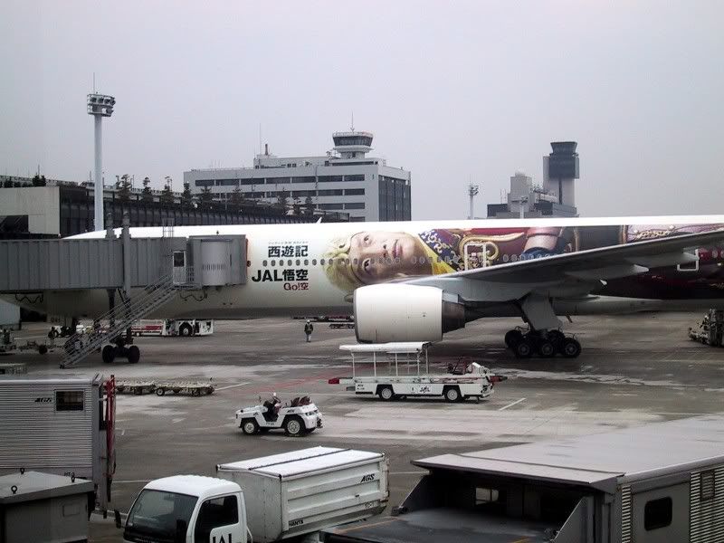 jal773_shingo3.jpg