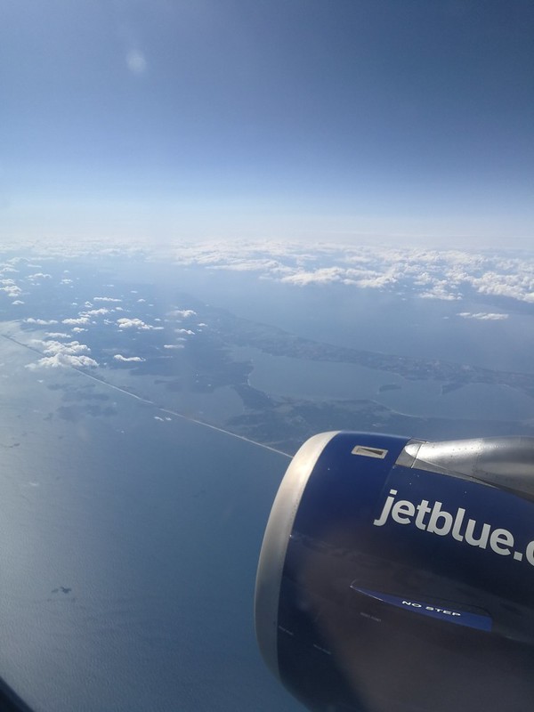 48798885528_8e229c4429_c.jpg