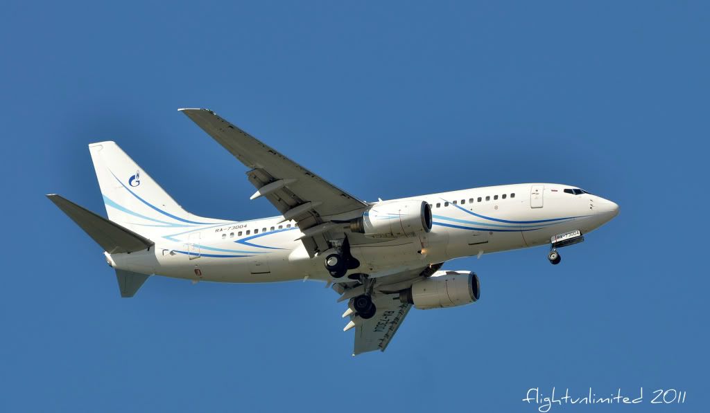 DSC_3586-1.jpg
