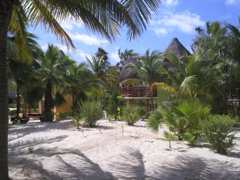 08032009001.jpg