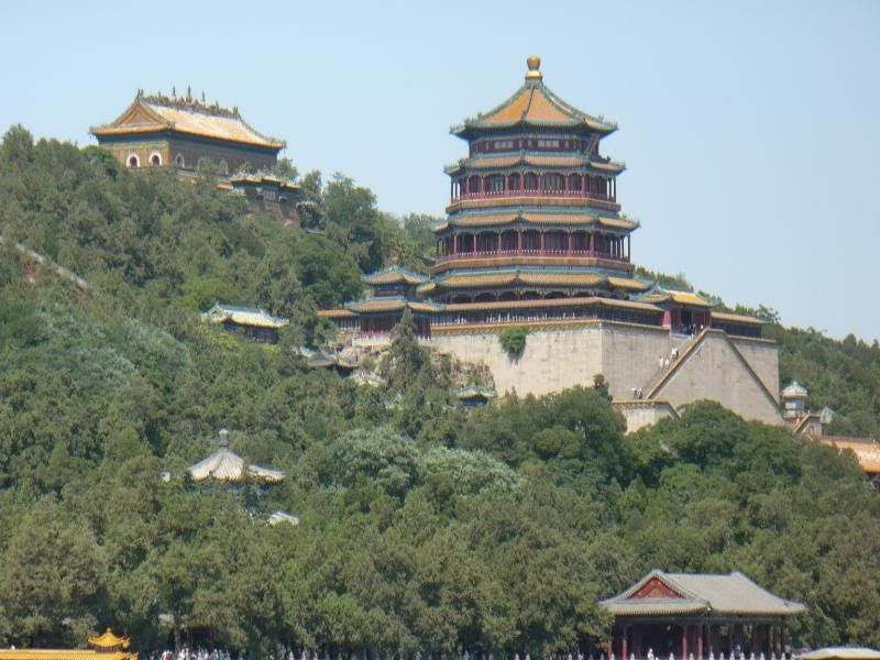 P1010853.jpg