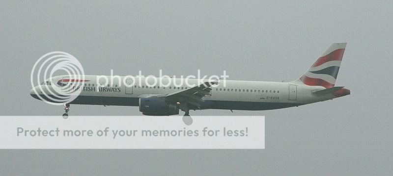IMG_9583.jpg