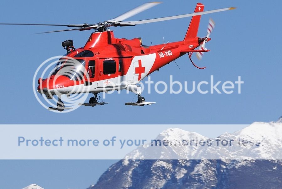 HBeee_14032009_C.jpg