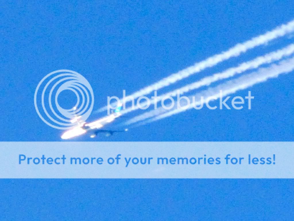 8743f765.jpg