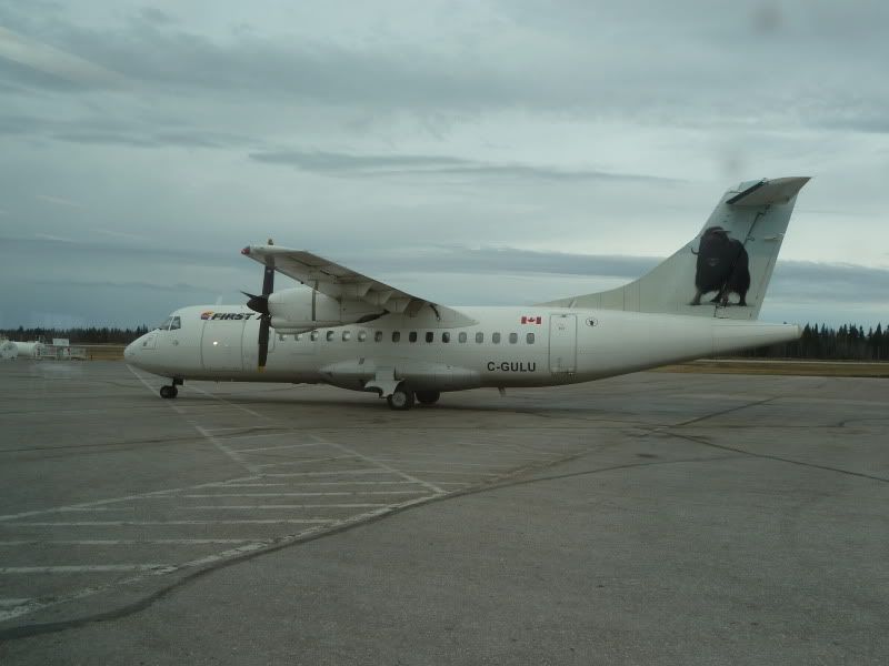 P1170185.jpg