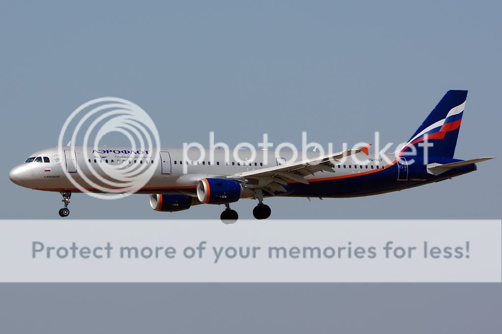 VQ-BEFFco260810.jpg