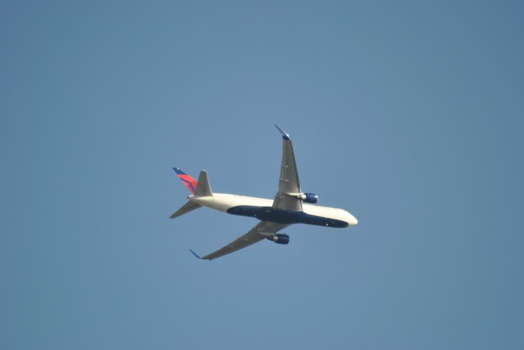 DSC_0273.jpg