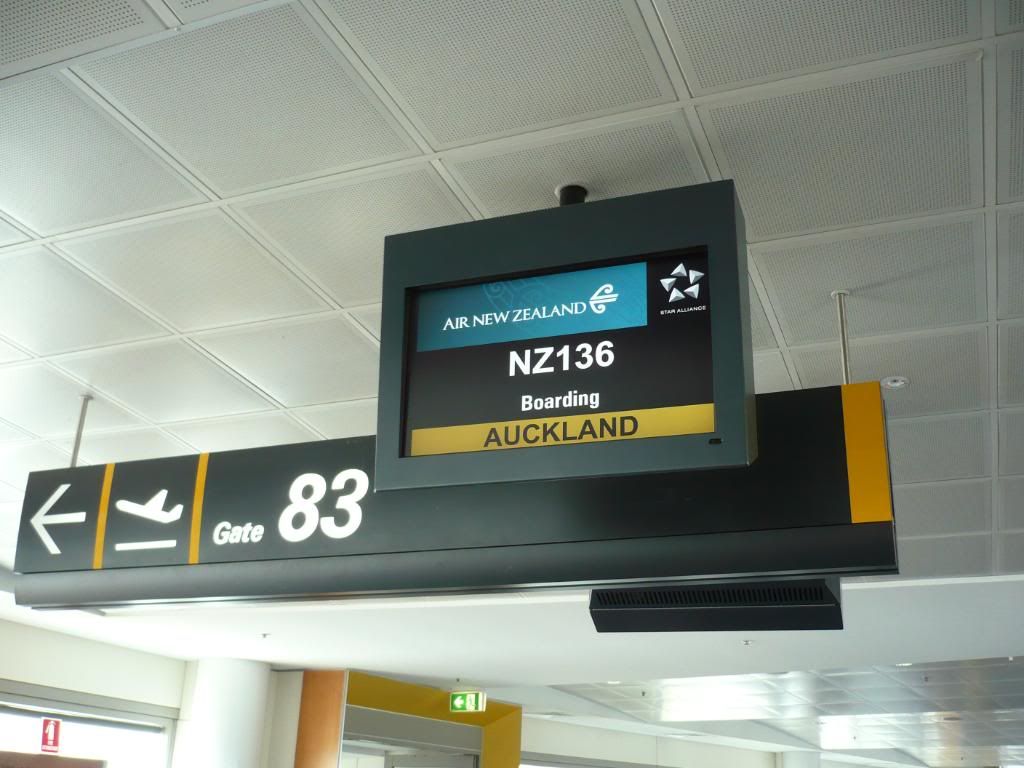 P1000215.jpg