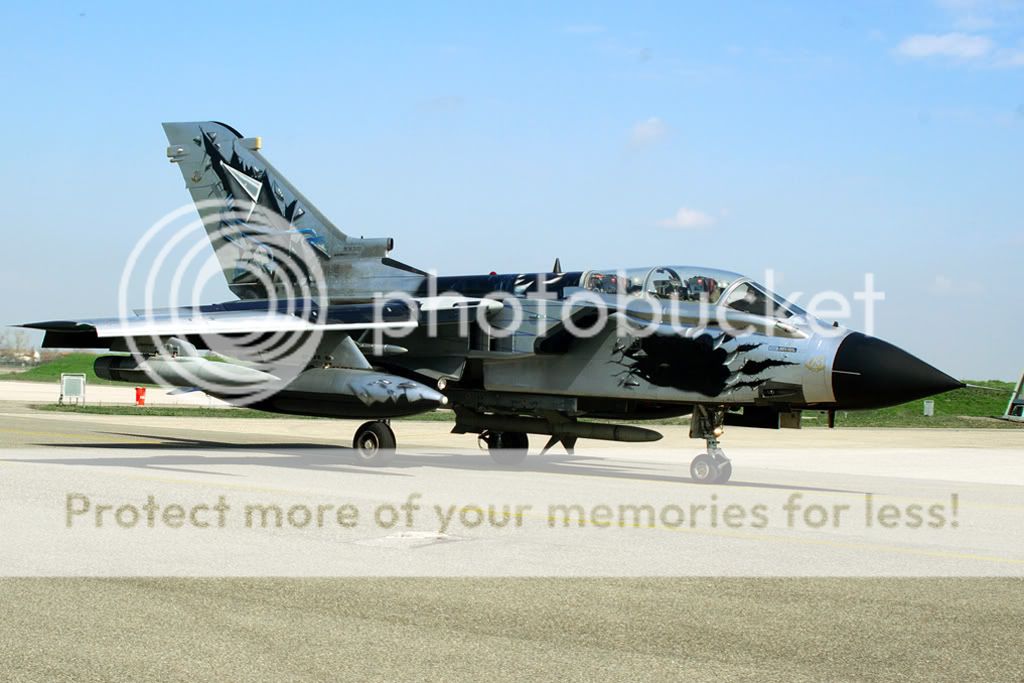 IMGP7314.jpg