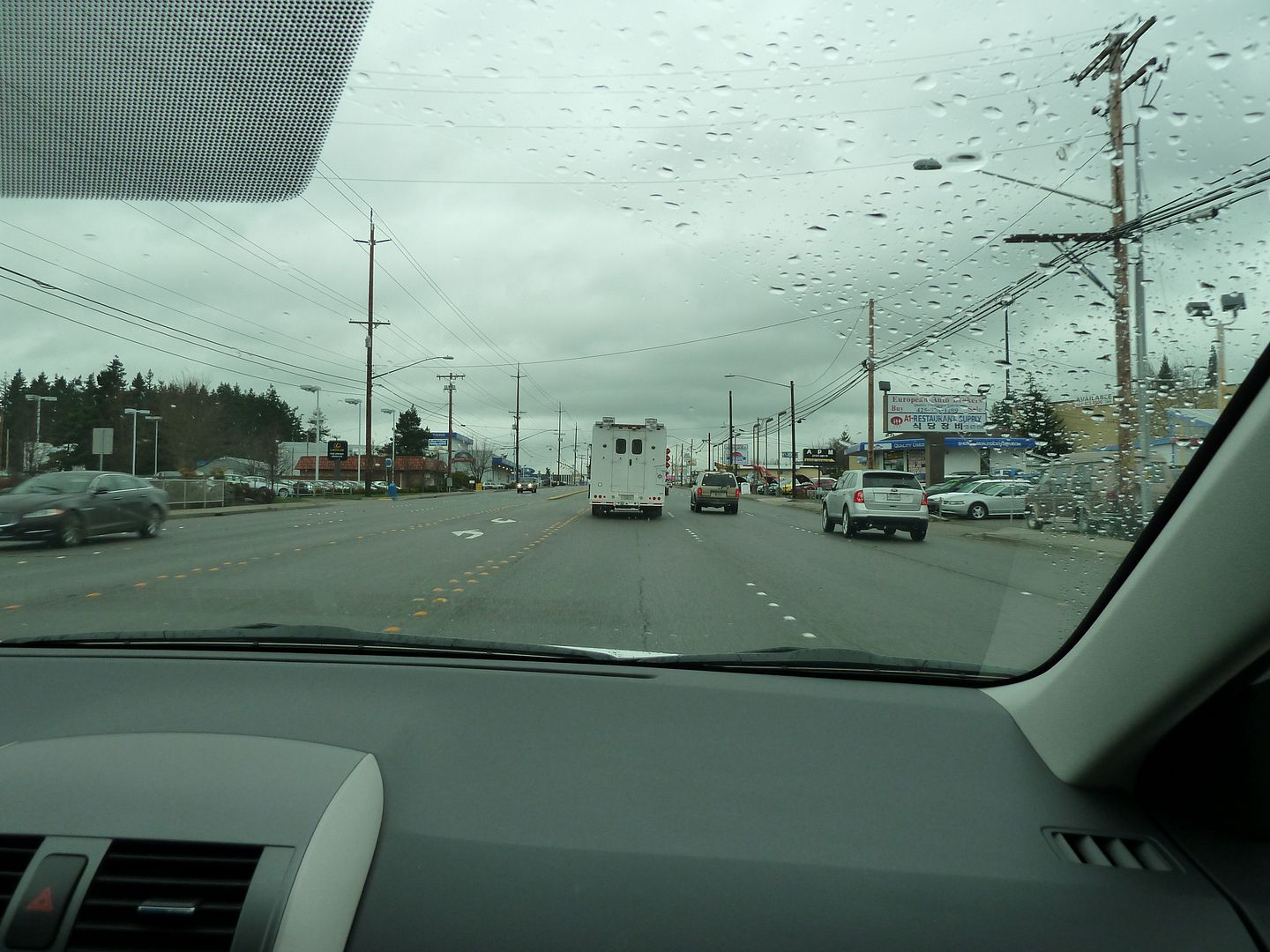 P1020130.jpg