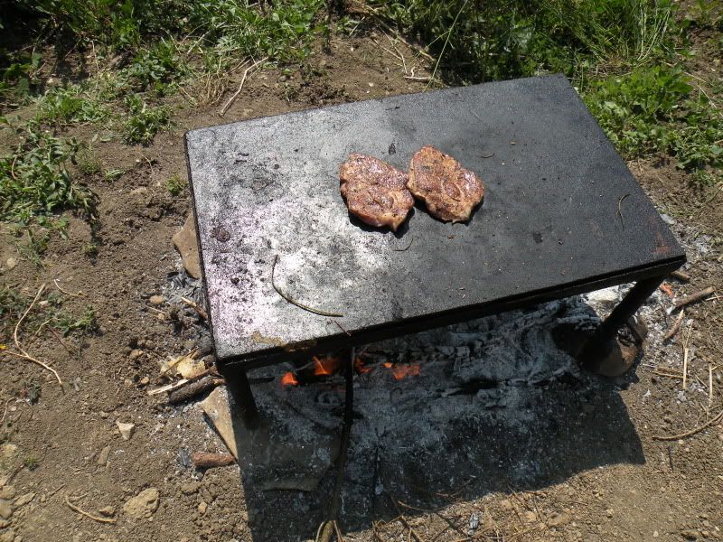DSCN8406.jpg