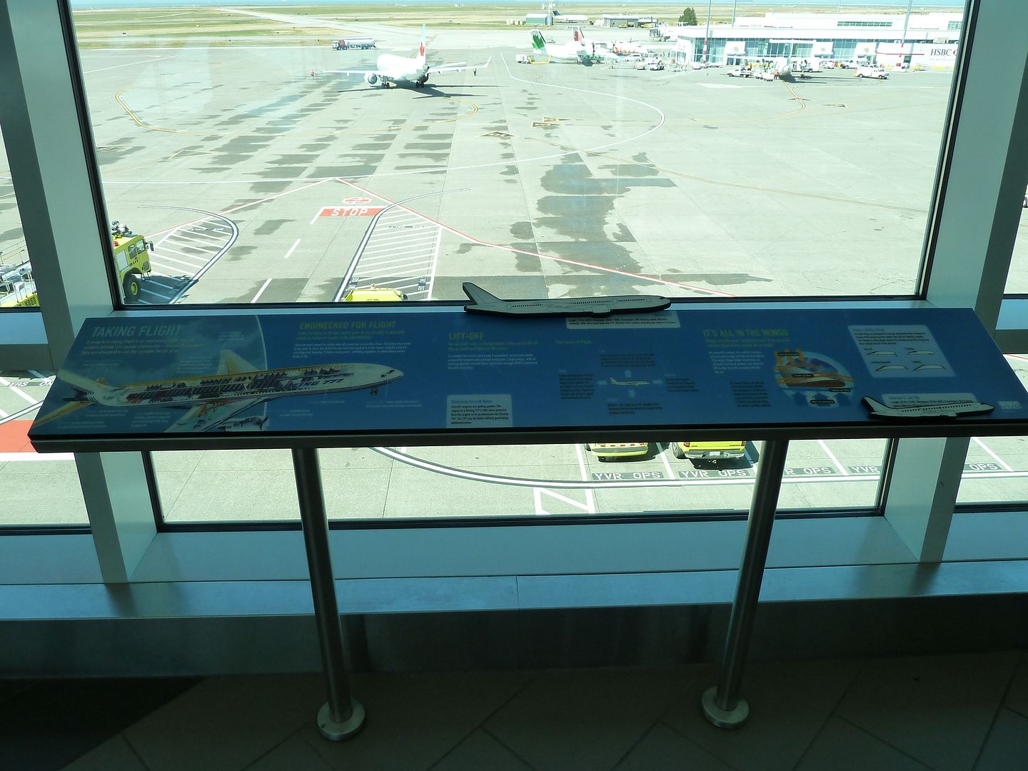 P1010449.jpg