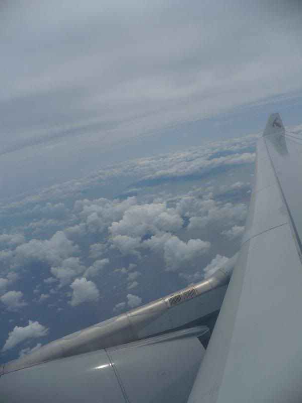 P1000307.jpg