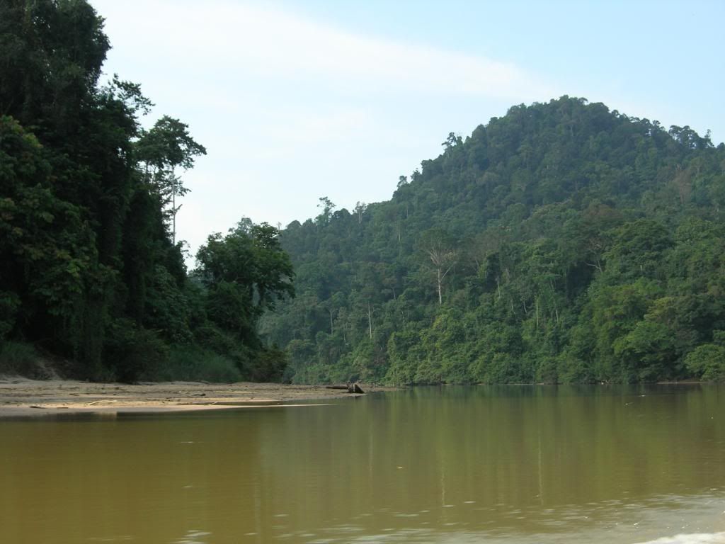 IMG482.jpg