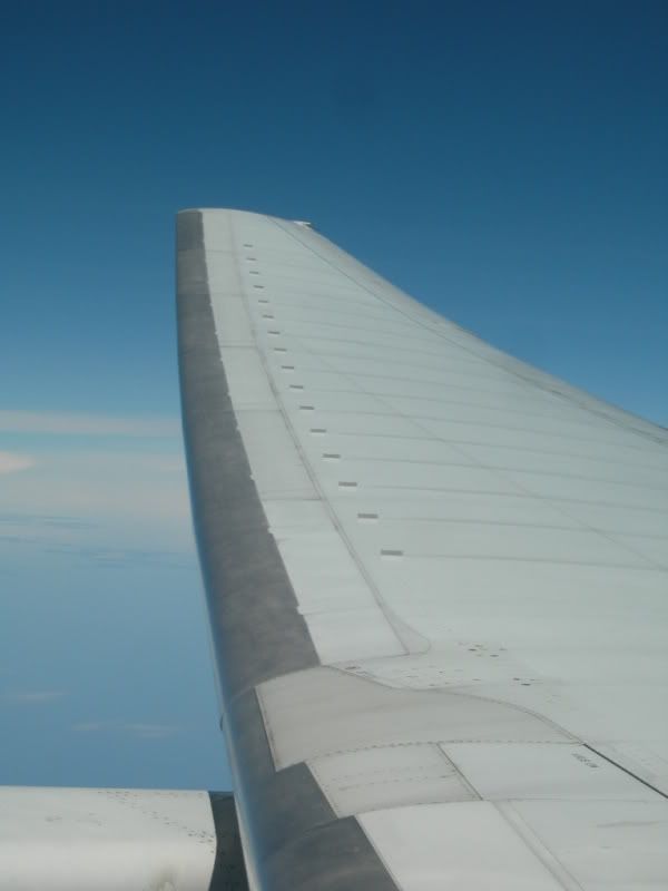 DSCN0213.jpg
