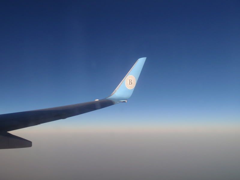 P4191180.jpg