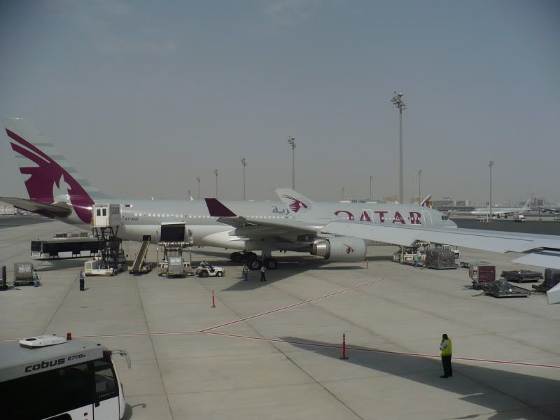 P1020162.jpg