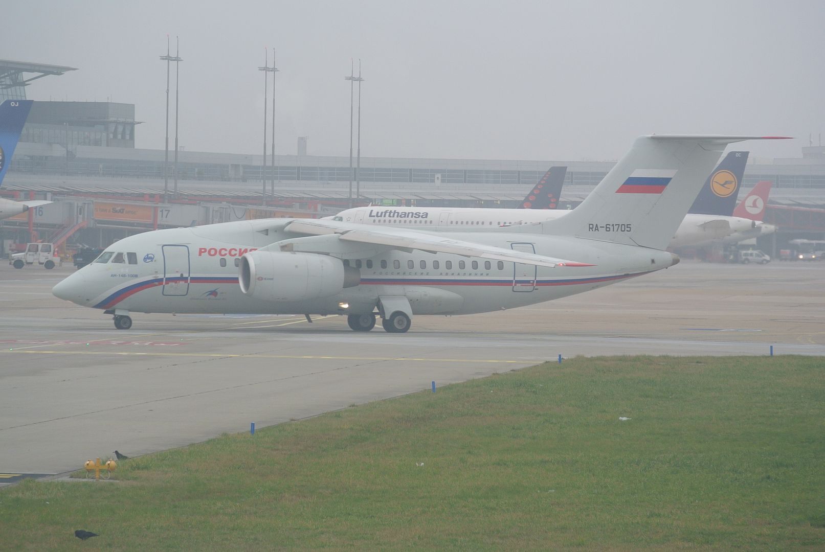 DSC_1555.jpg