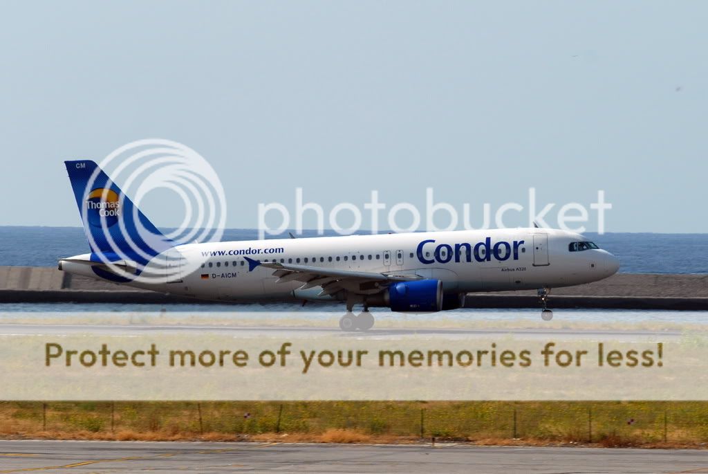 condor.jpg