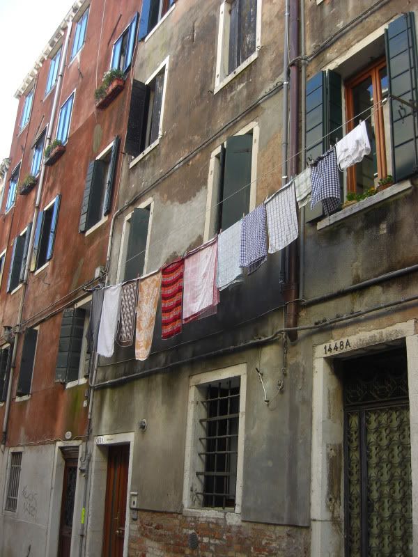 CIMG8466.jpg
