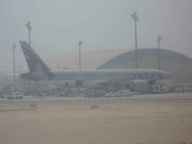 P1020168.jpg