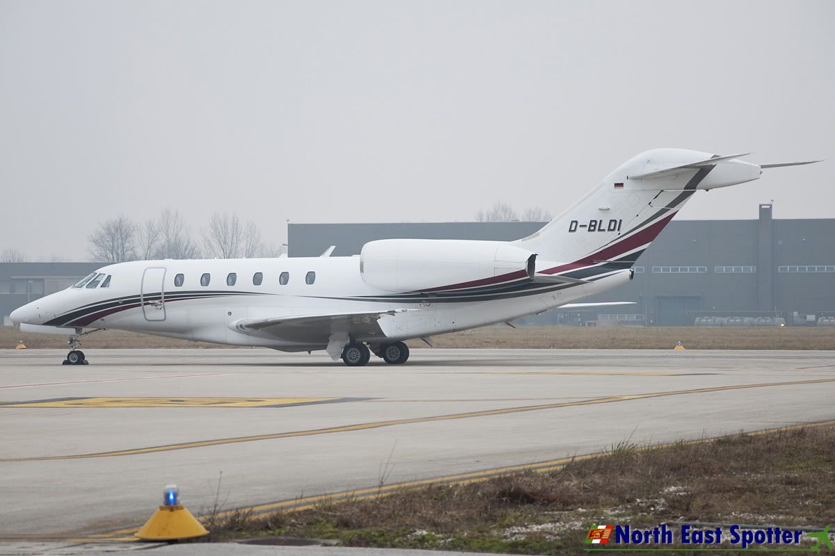 D-BDLI_12-02-11_TSF.jpg