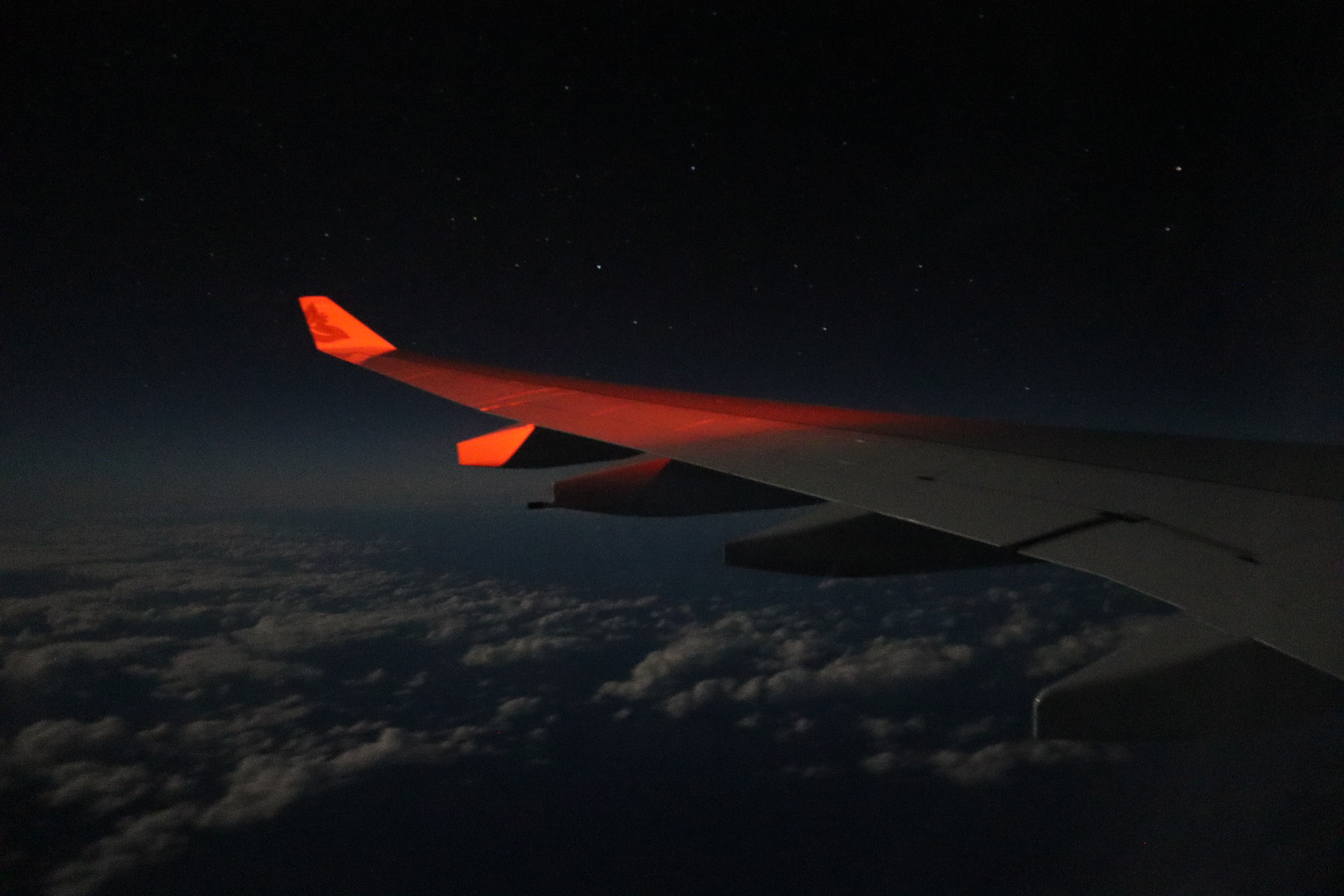 49529276912_de59273e08_6k.jpg