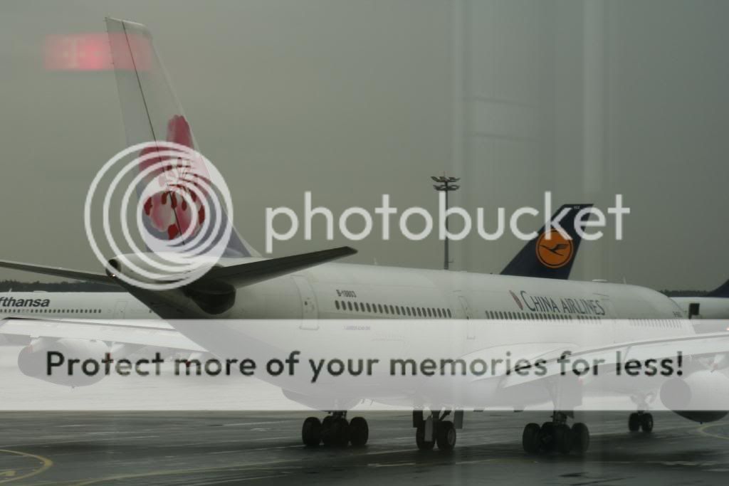 _MG_4727.jpg