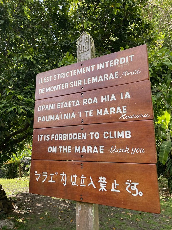 54345624181_efd5d79438_c.jpg