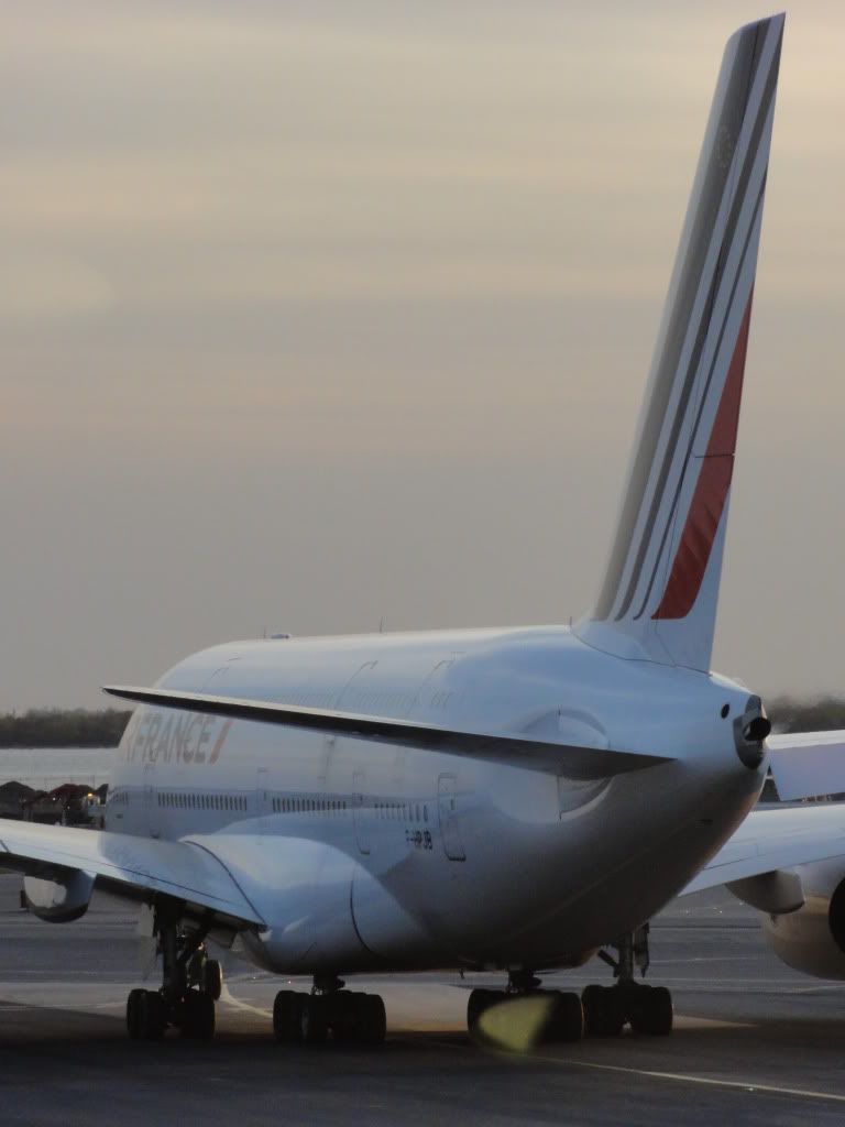 390c0ede.jpg