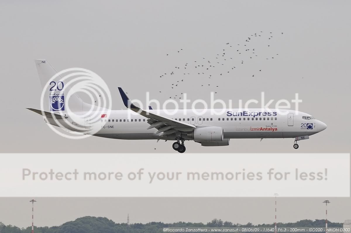 SunExpress_TC-SNE_B737_BSC29231_080.jpg