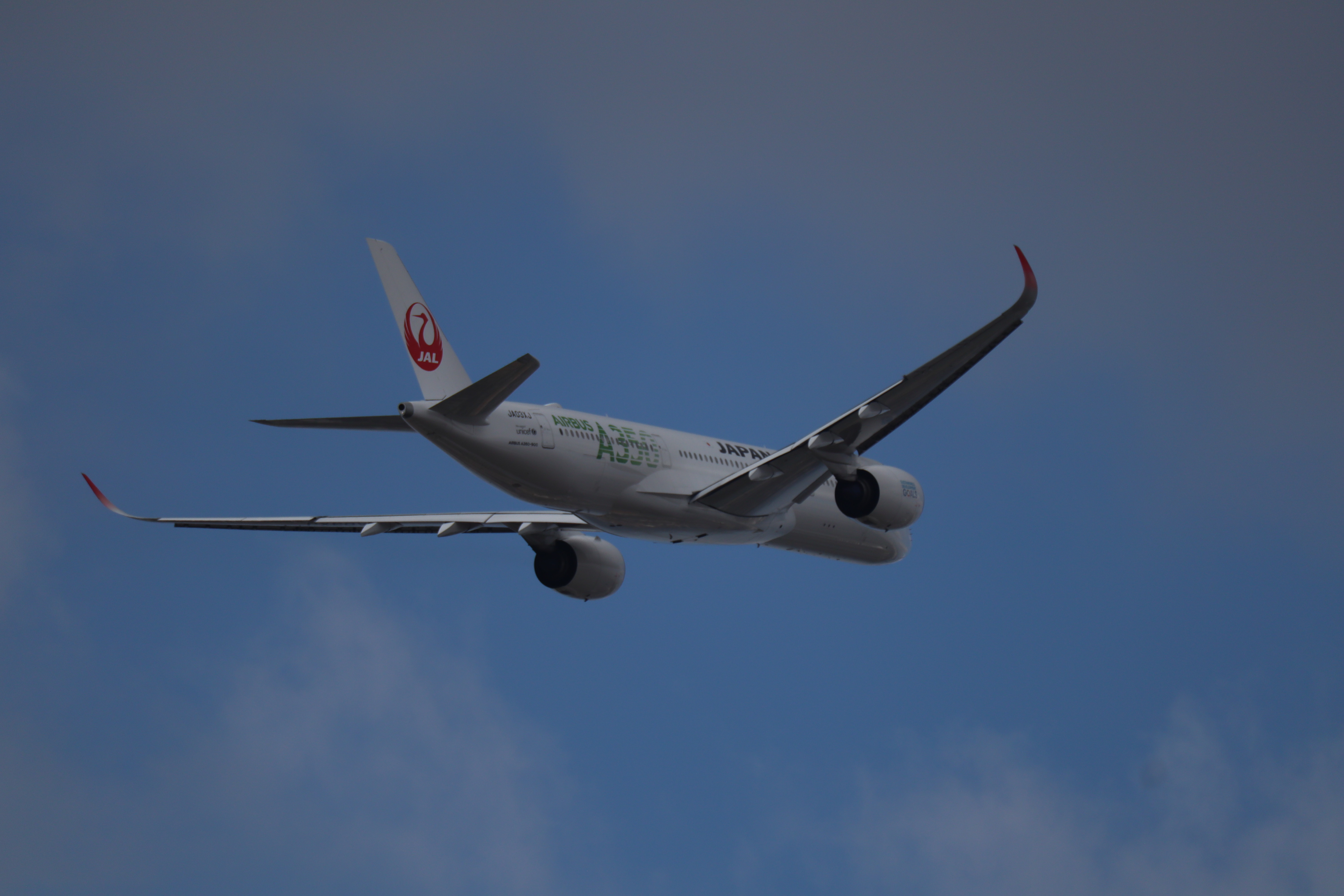 49529140446_dd78c43235_6k.jpg