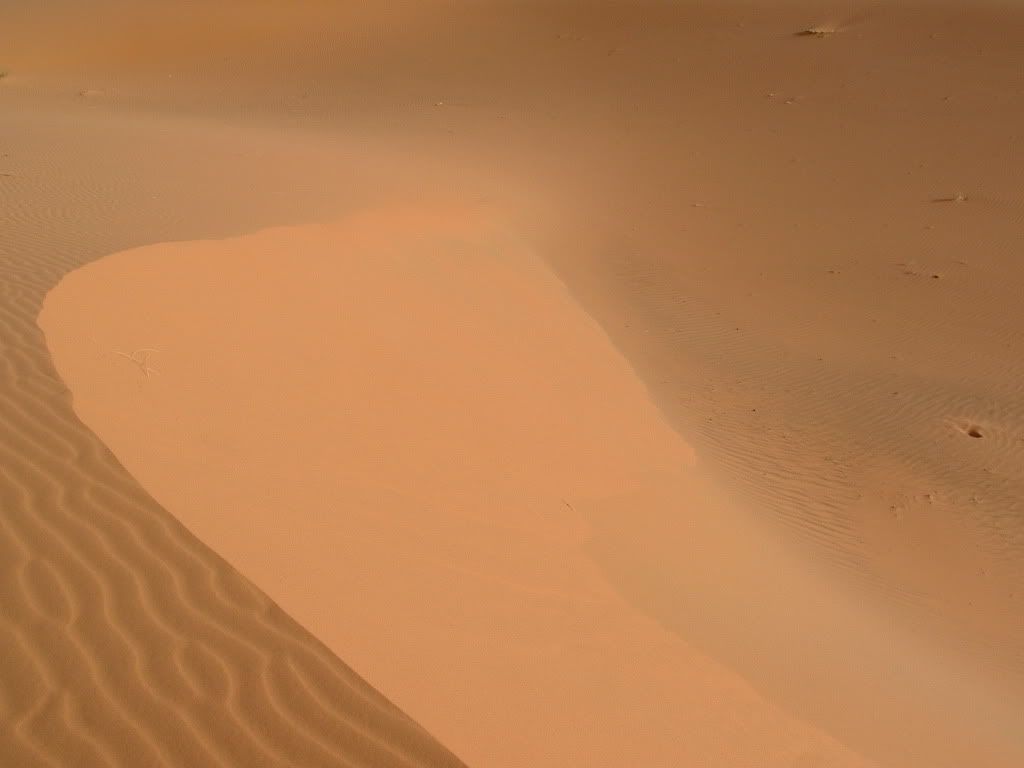DSCF0581.jpg