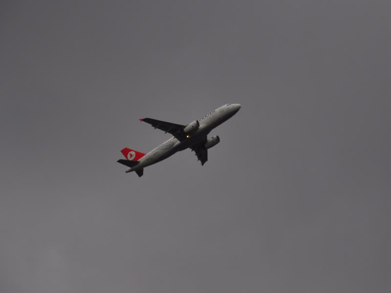 DSC_0011.jpg