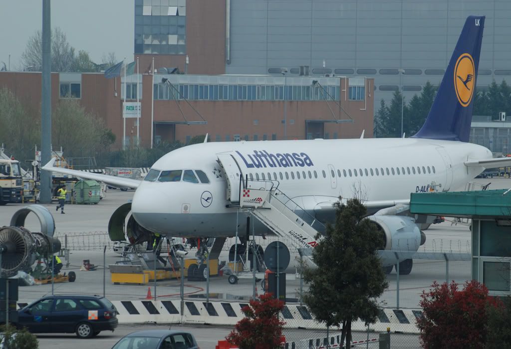 D-AILK.jpg