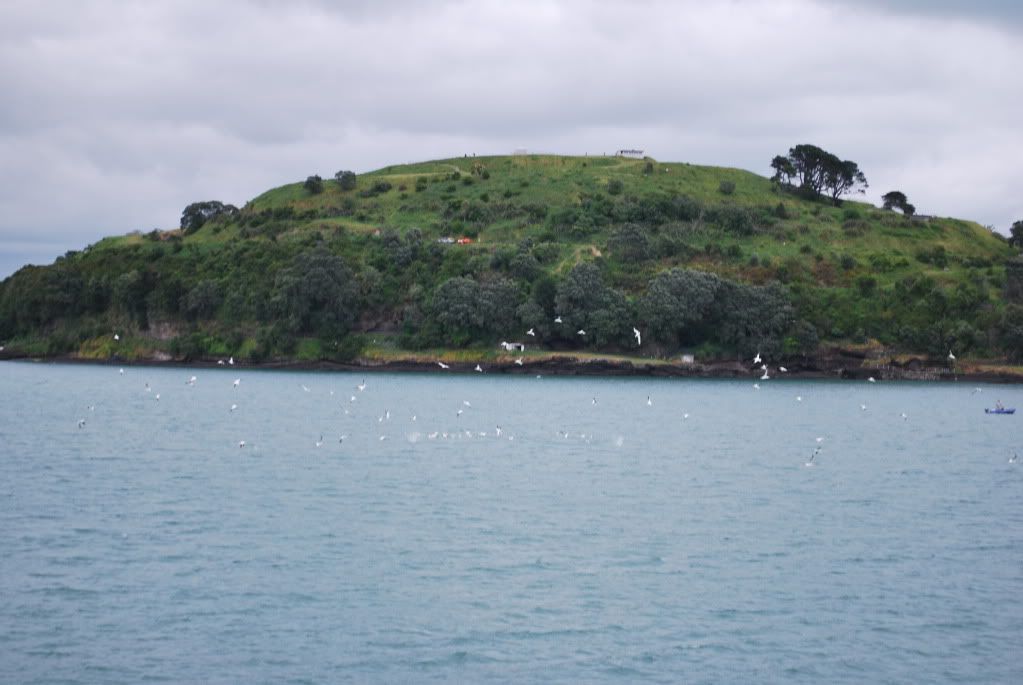 DSC_9646.jpg