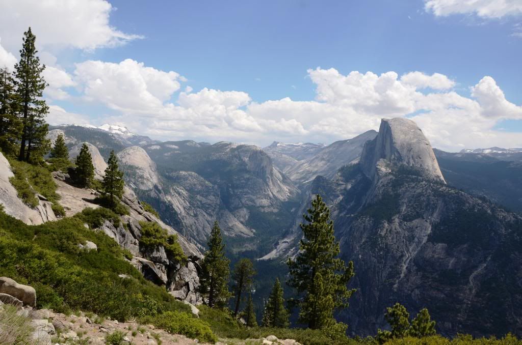 DSC_1263.jpg