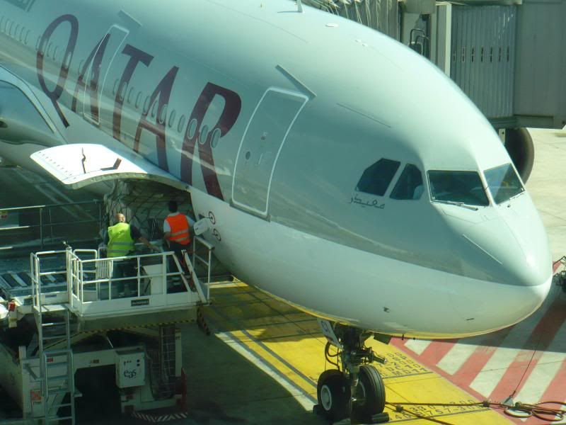 P1000204.jpg