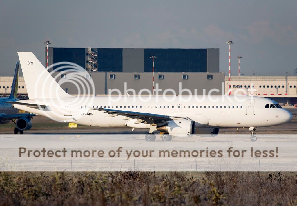 EC-GRF.jpg
