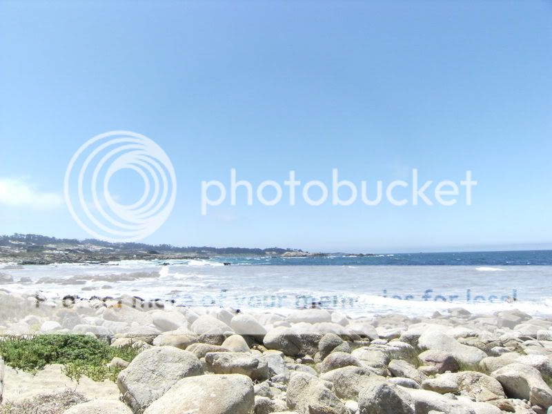 California065.jpg