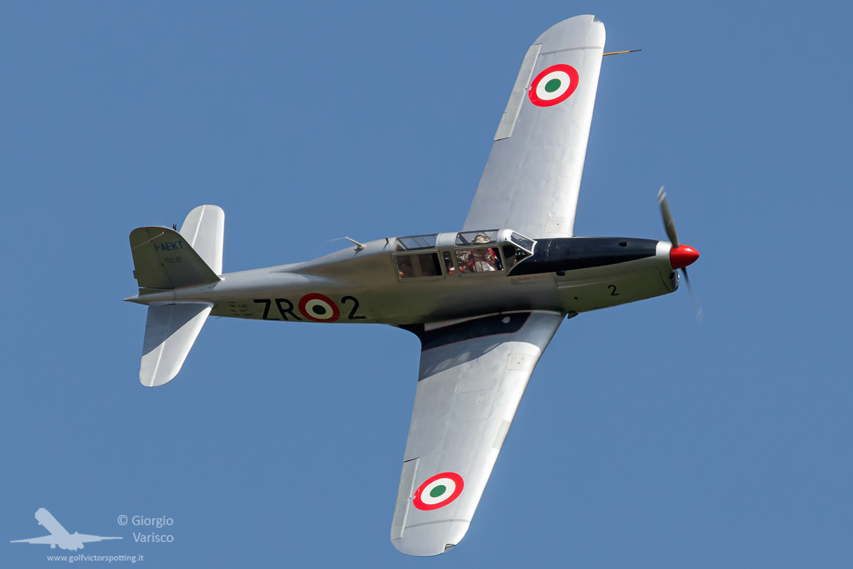 _MG_2984_260622.jpg