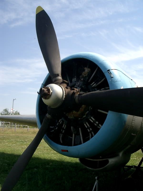 IMGP2501.jpg