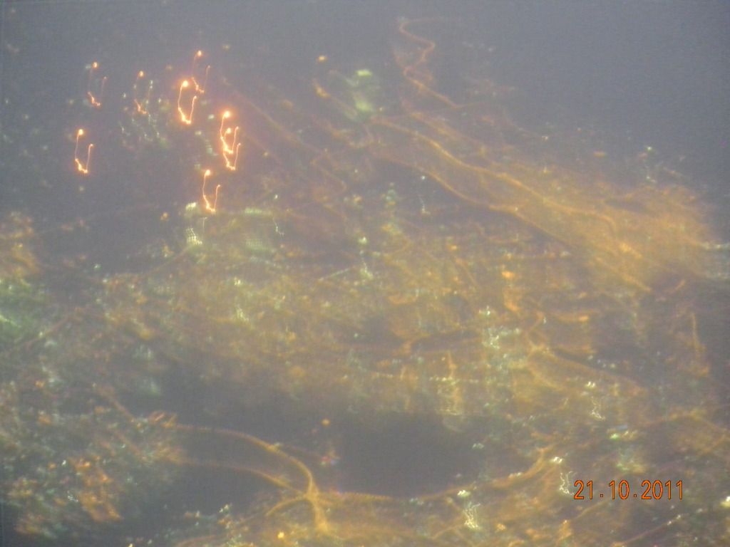 DSCN1590.jpg