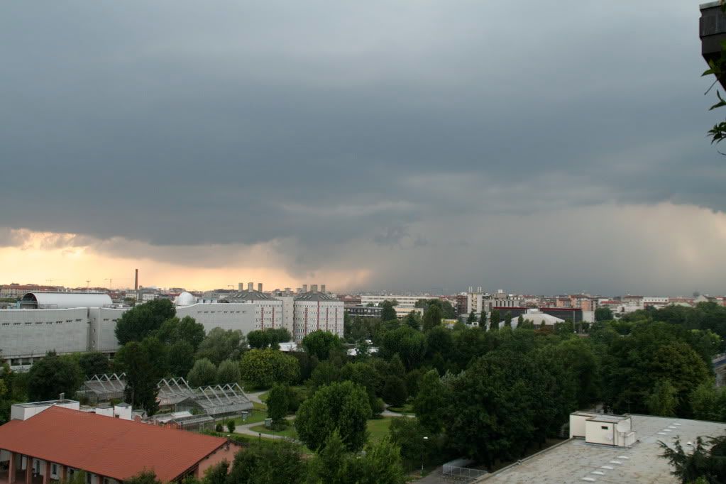 IMG_2761.jpg