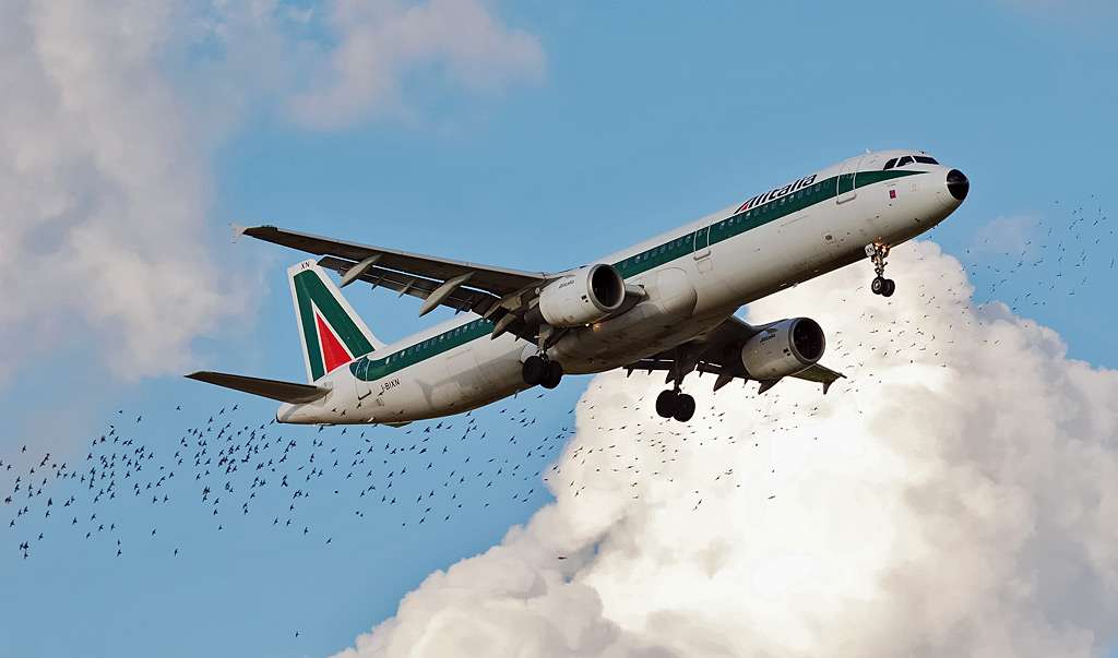 a321aza_3.jpg
