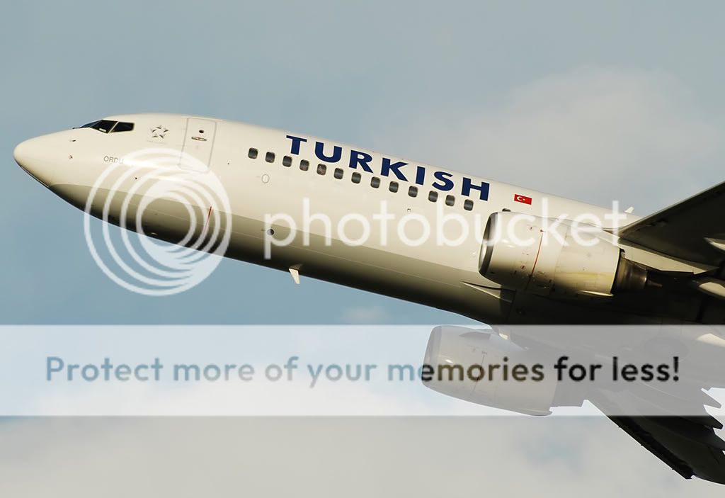 TC-JFLmuso.jpg