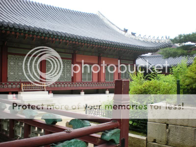 DSCN2769.jpg