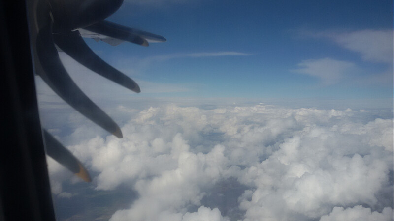 16552337975_be483787b9_b.jpg